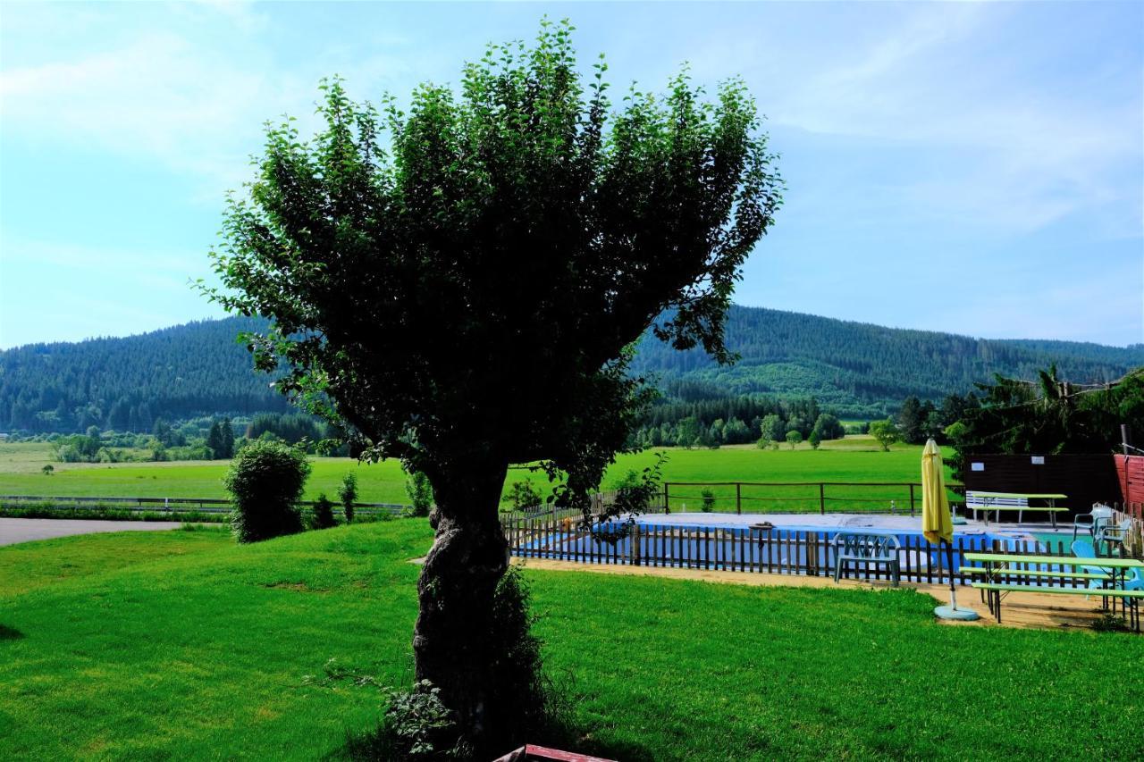 B Und B Titisee Hotel Sonnenmatte Nahe Badeparadies Kültér fotó